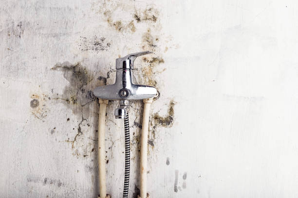 Best Mold Testing  in Crocker, WA