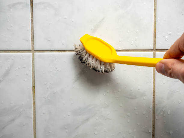 Best Commercial Mold Removal  in Crocker, WA
