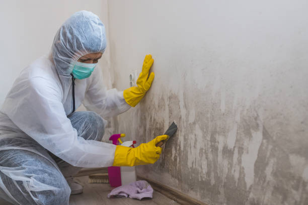 Best Residential Mold Removal  in Crocker, WA