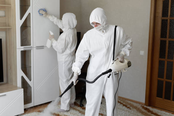 Mold Removal Process in Crocker, WA