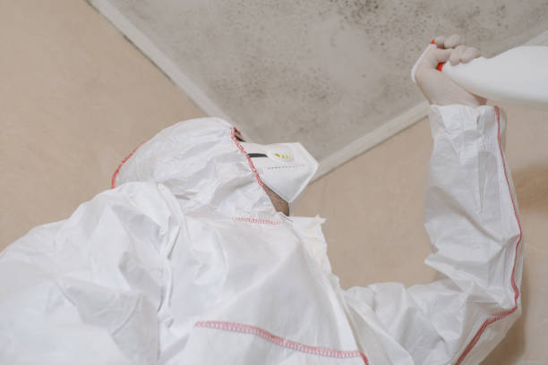 Best Mold Remediation  in Crocker, WA