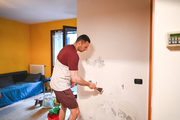 Best Mold Removal Process  in Crocker, WA